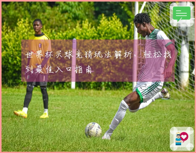 世界杯买球竞猜玩法解析，轻松找到最佳入口指南