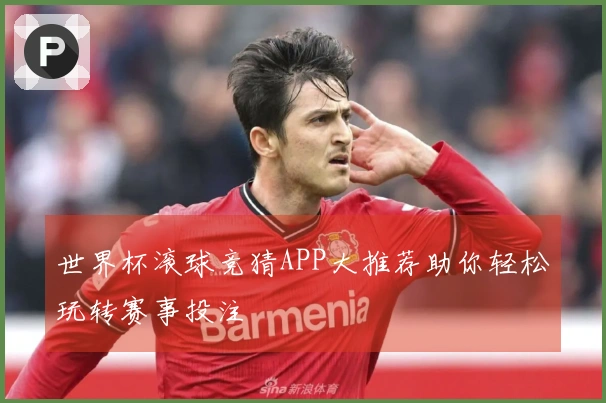 世界杯滚球竞猜APP大推荐助你轻松玩转赛事投注