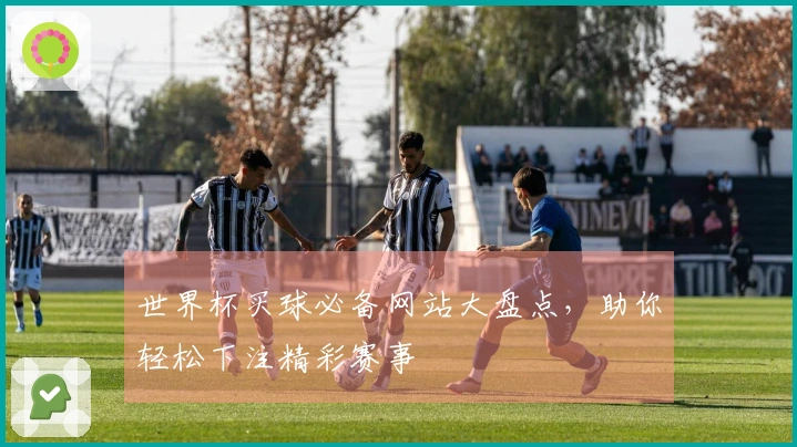 世界杯买球必备网站大盘点，助你轻松下注精彩赛事
