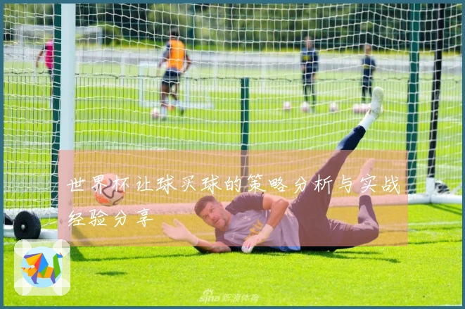 世界杯让球买球的策略分析与实战经验分享