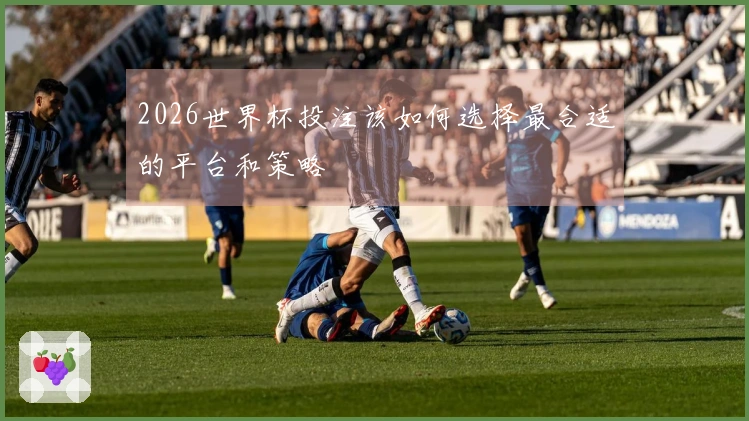 2026世界杯投注该如何选择最合适的平台和策略