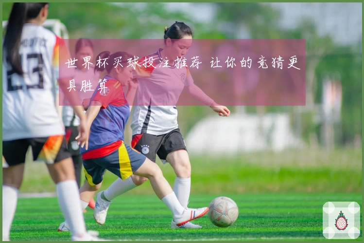 世界杯买球投注推荐 让你的竞猜更具胜算