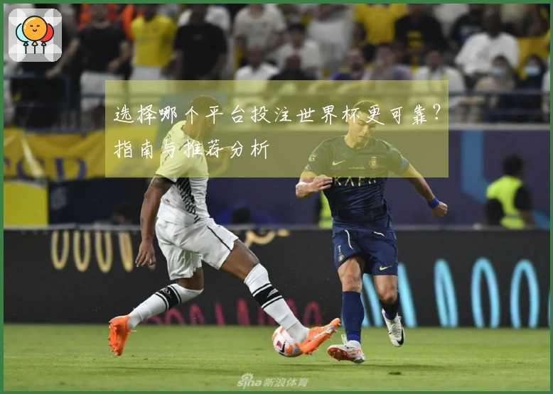 选择哪个平台投注世界杯更可靠？指南与推荐分析
