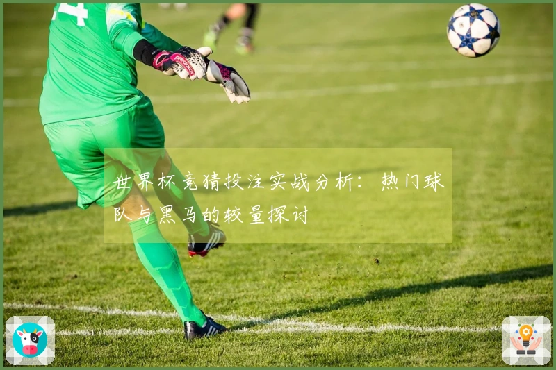 世界杯竞猜投注实战分析：热门球队与黑马的较量探讨