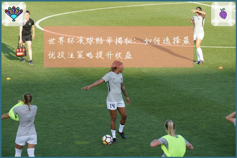 世界杯滚球赔率揭秘：如何选择最优投注策略提升收益