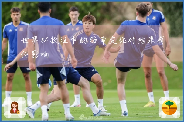 世界杯投注中的赔率变化对结果有何影响