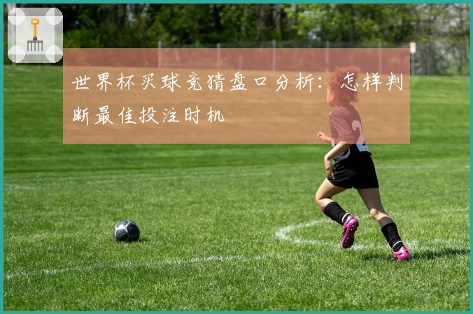 世界杯买球竞猜盘口分析：怎样判断最佳投注时机