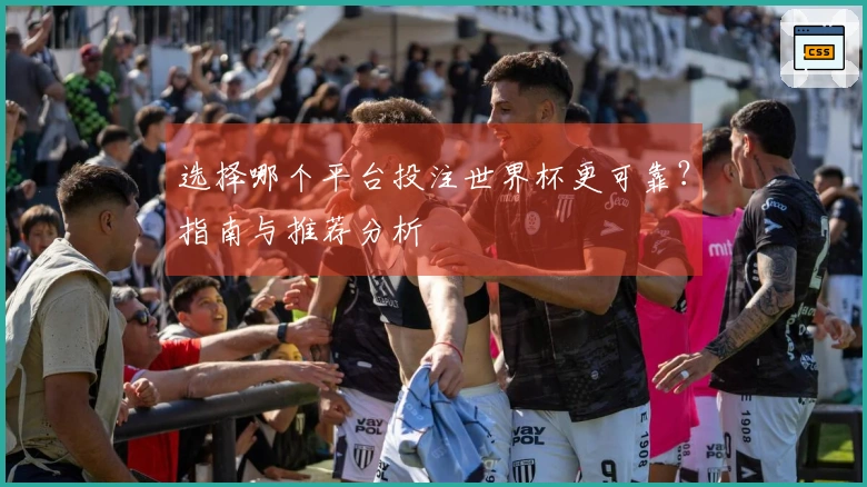选择哪个平台投注世界杯更可靠？指南与推荐分析