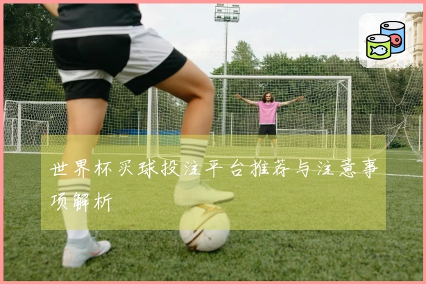 世界杯买球投注平台推荐与注意事项解析