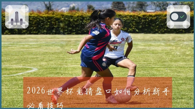 2026世界杯竞猜盘口如何分析新手必看技巧