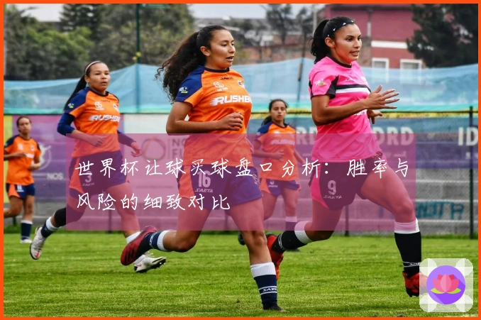 世界杯让球买球盘口分析：胜率与风险的细致对比