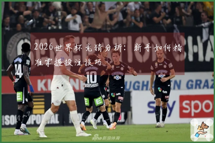 2026世界杯竞猜分析：新手如何精准掌握投注技巧