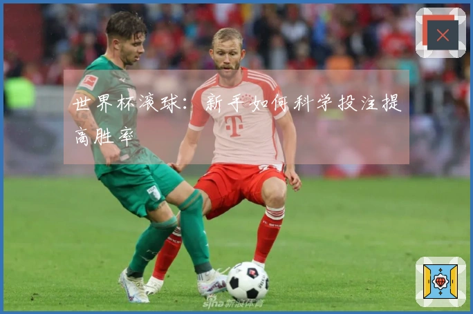 世界杯滚球：新手如何科学投注提高胜率