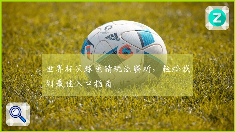 世界杯买球竞猜玩法解析，轻松找到最佳入口指南