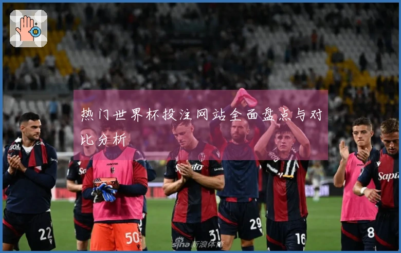 热门世界杯投注网站全面盘点与对比分析